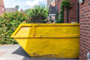 Skip On Driveway