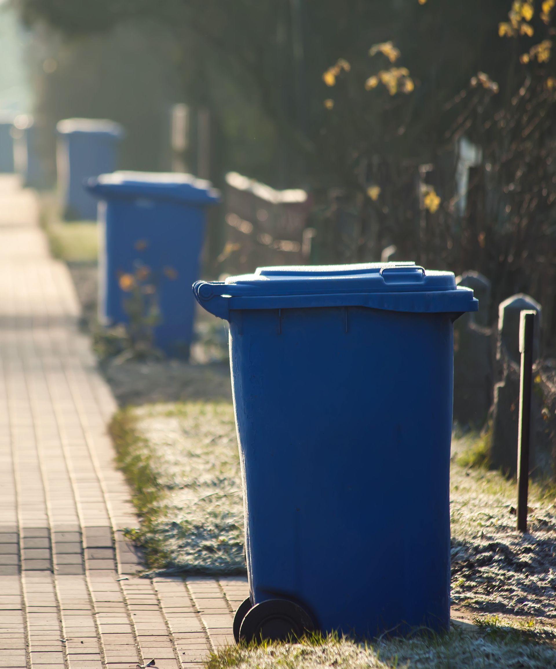 Blue bins sat on the residential street